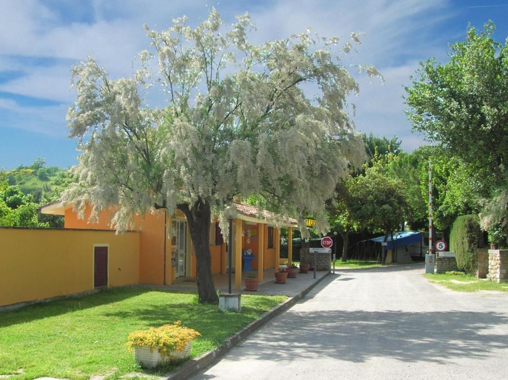 Camping Paradiso Пезаро Екстер'єр фото